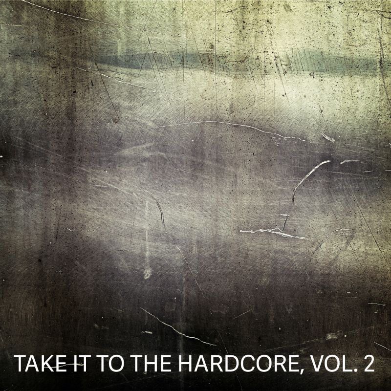 album ... ... Take It to the Hardcore, Vol. 2